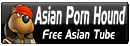 Asian Porn Hound Tube