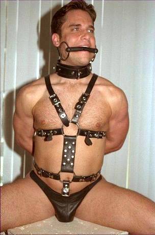 gay_bondage_2217.jpg