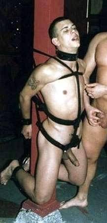 gay_bondage_2235.jpg