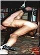 gay_bondage_2026.jpg