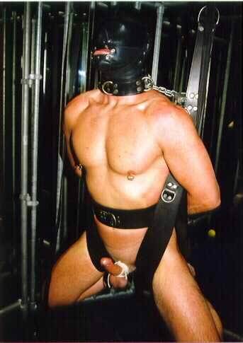 gay_bondage_3517.jpg