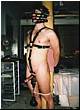 gay_bondage_3781.jpg