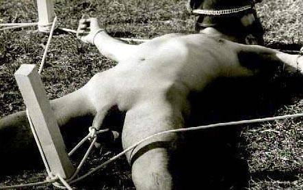 gay_bondage_2515.jpg