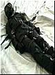 gay_bondage_0046.jpg