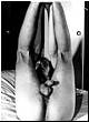 gay_bondage_0068.jpg