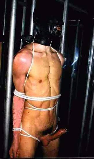 gay_bondage_1336.jpg